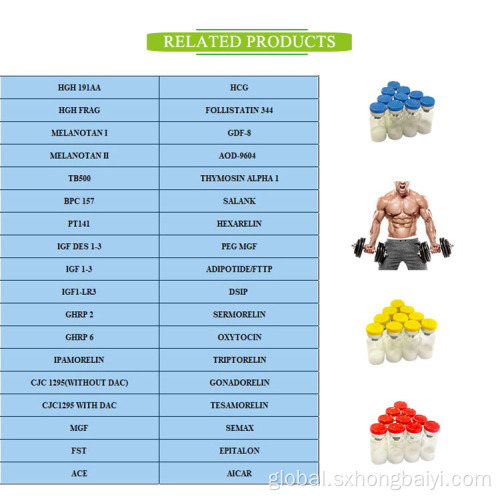 Sarms Powder Buy Bodybuilding Sarms Lgd - 4033 CAS 1165910224 Factory